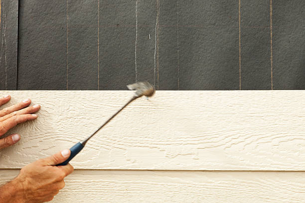 Best Insulated Siding Installation  in Tavares, FL