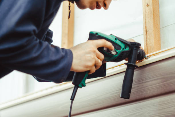 Best Siding Repair  in Tavares, FL